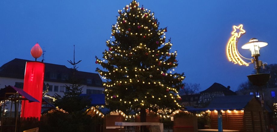 Baum auf dem Glückstalermarkt