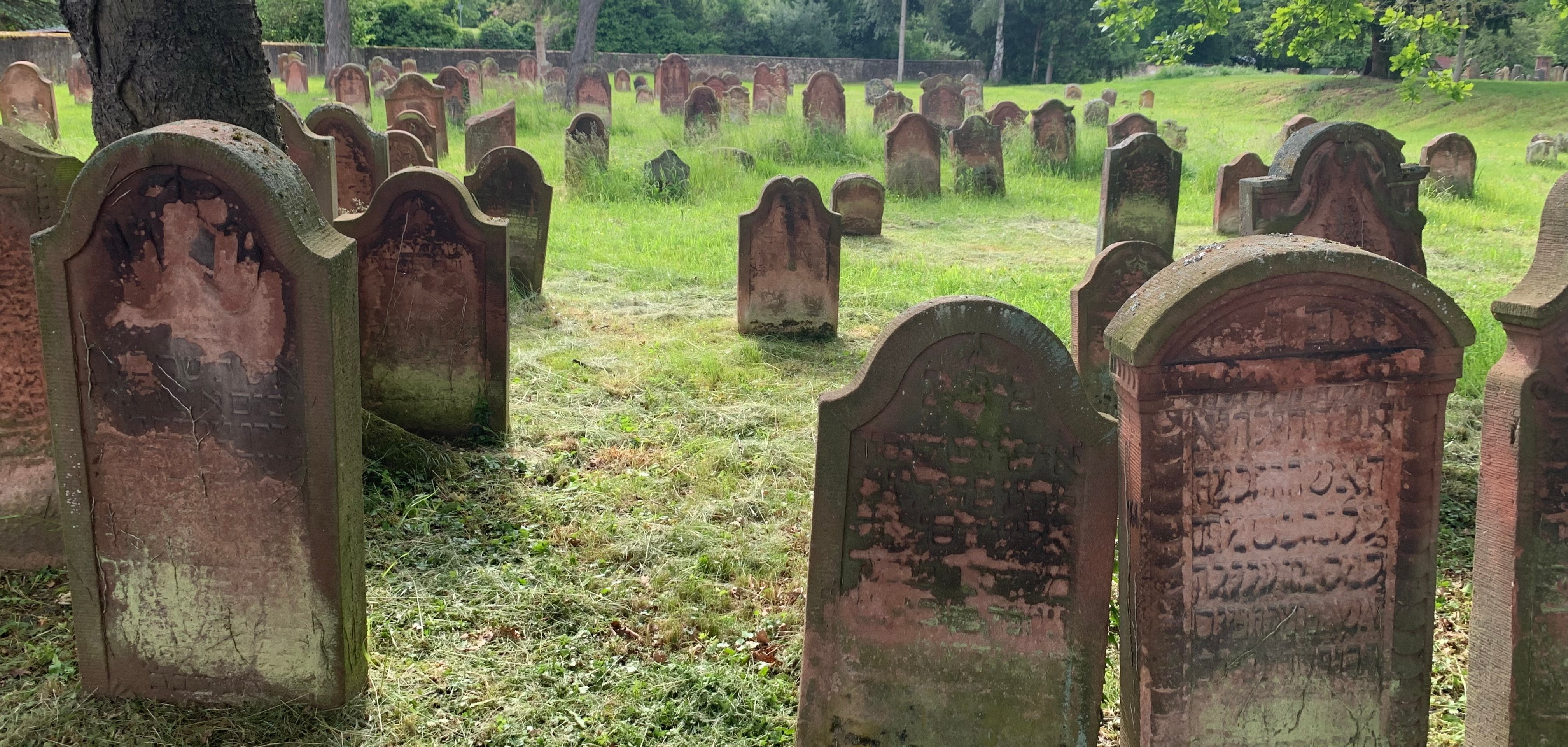 Blick auf die Grabsteine