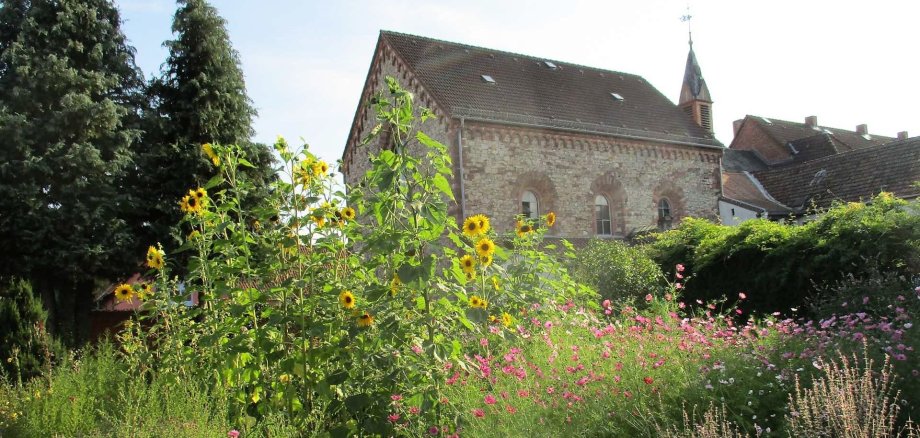 der Franziskusgarten im Herbst