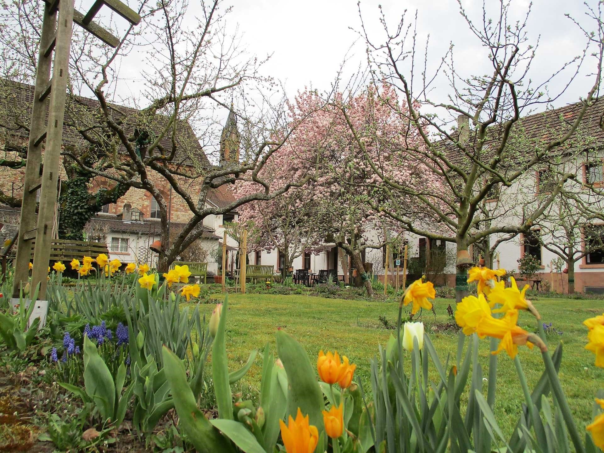 Blumen im Klostergarten