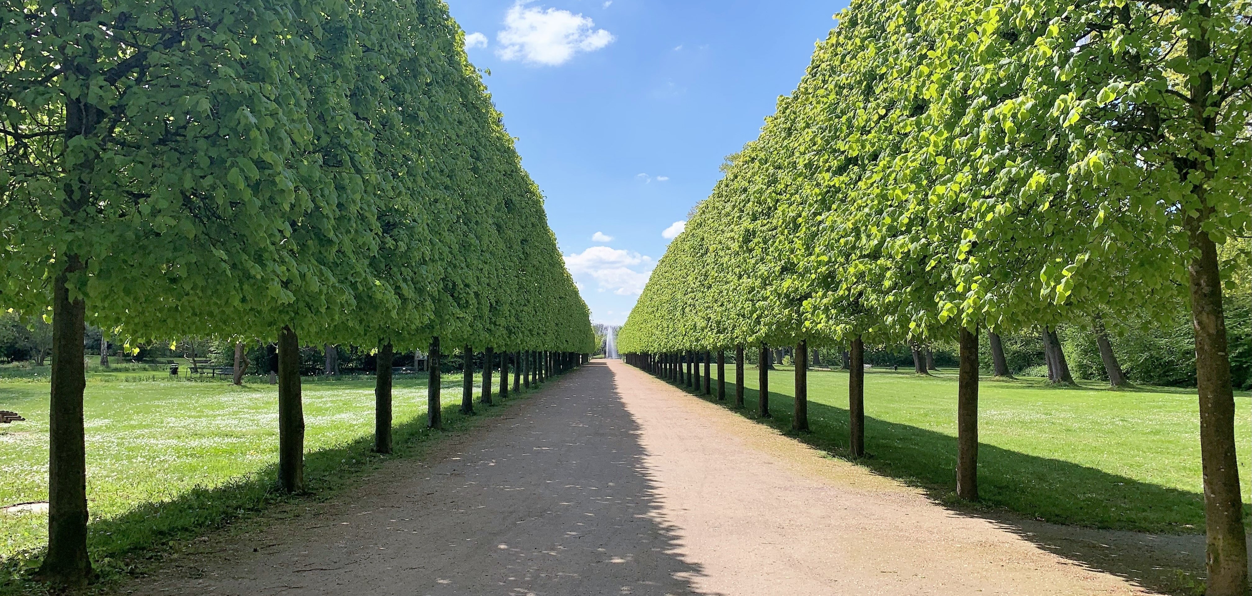 Bild vom Schlossgarten