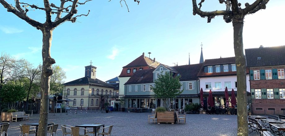 Platanen auf dem Marktplatz