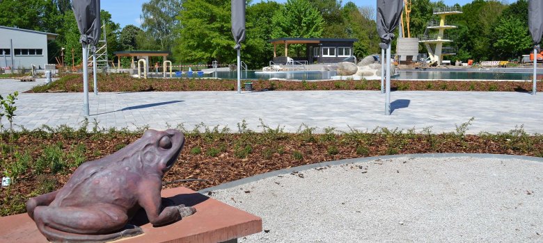 der Freibad-Frosch
