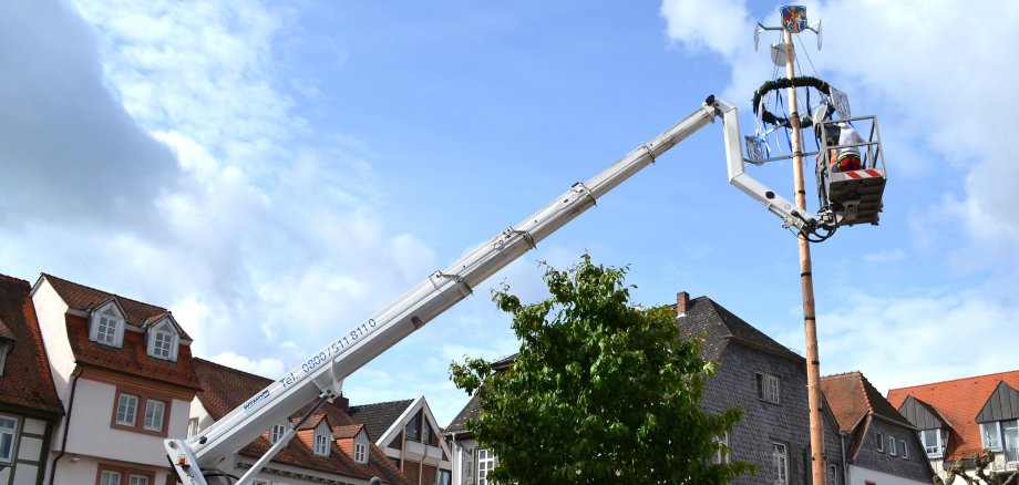 Maibaum wird aufgestellt