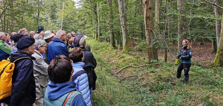 beim Waldrundgang