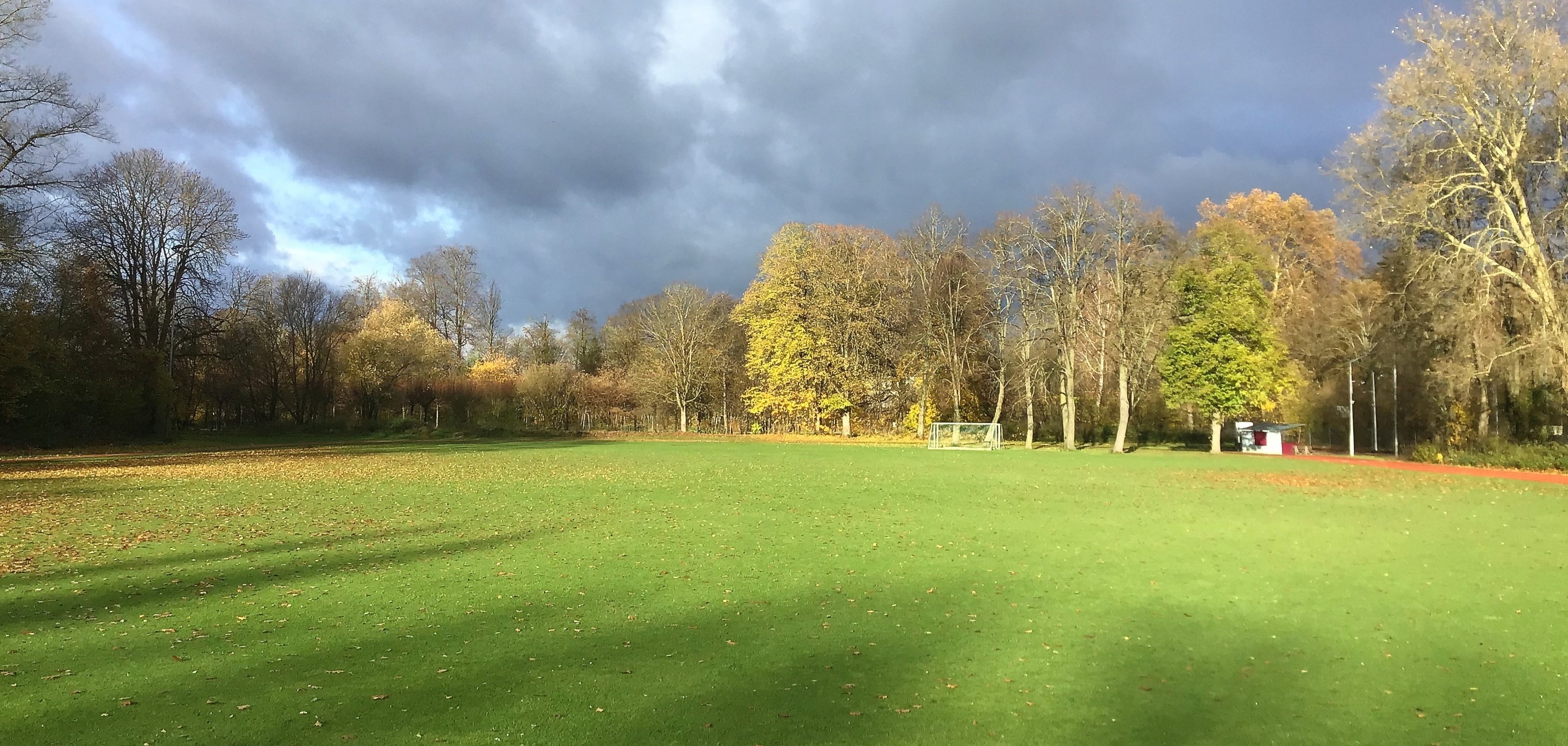 der Sportplatz