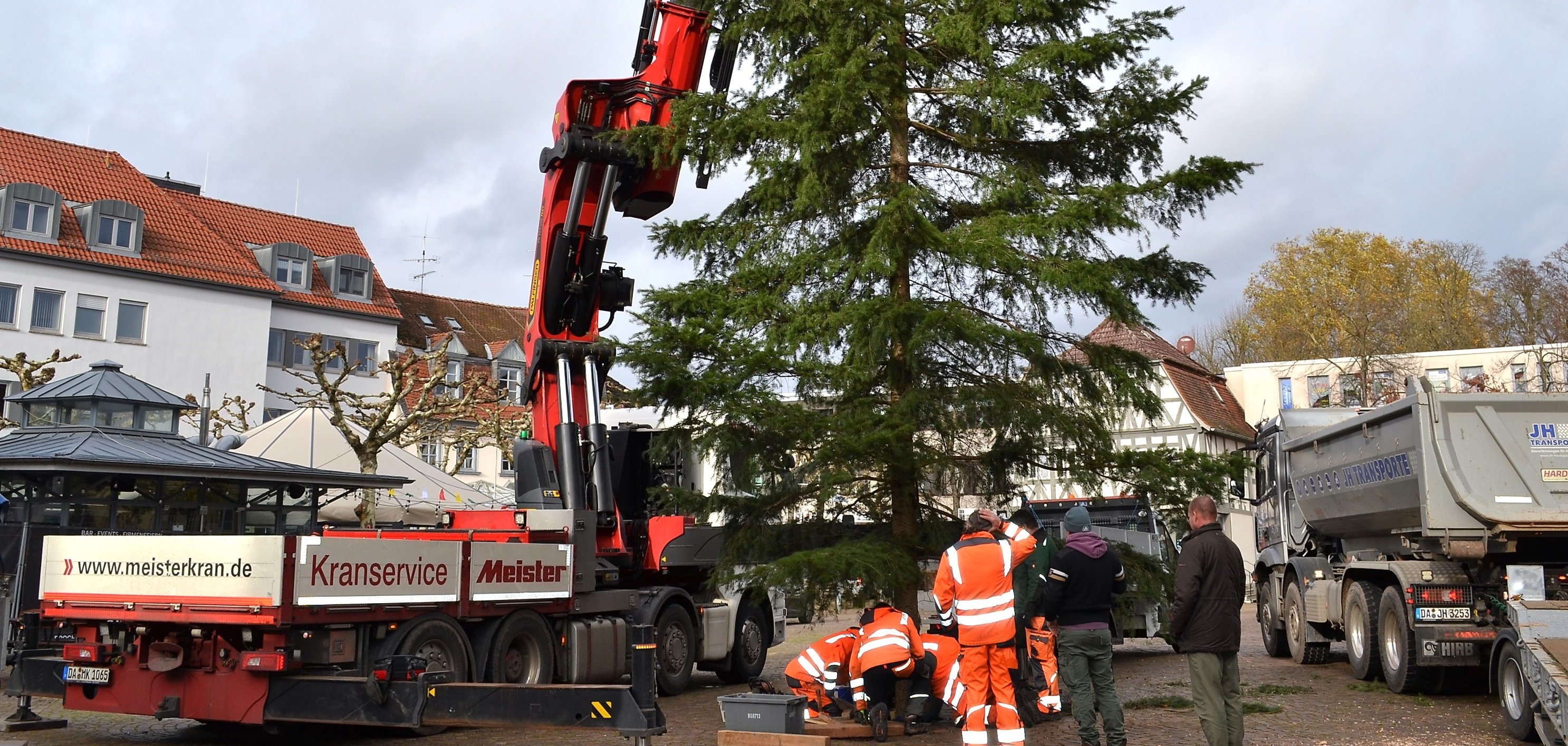 der Weihnachtsbaum wird aufgestellt