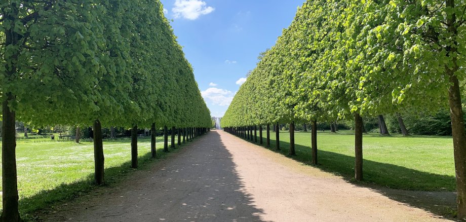 Schlossgarten