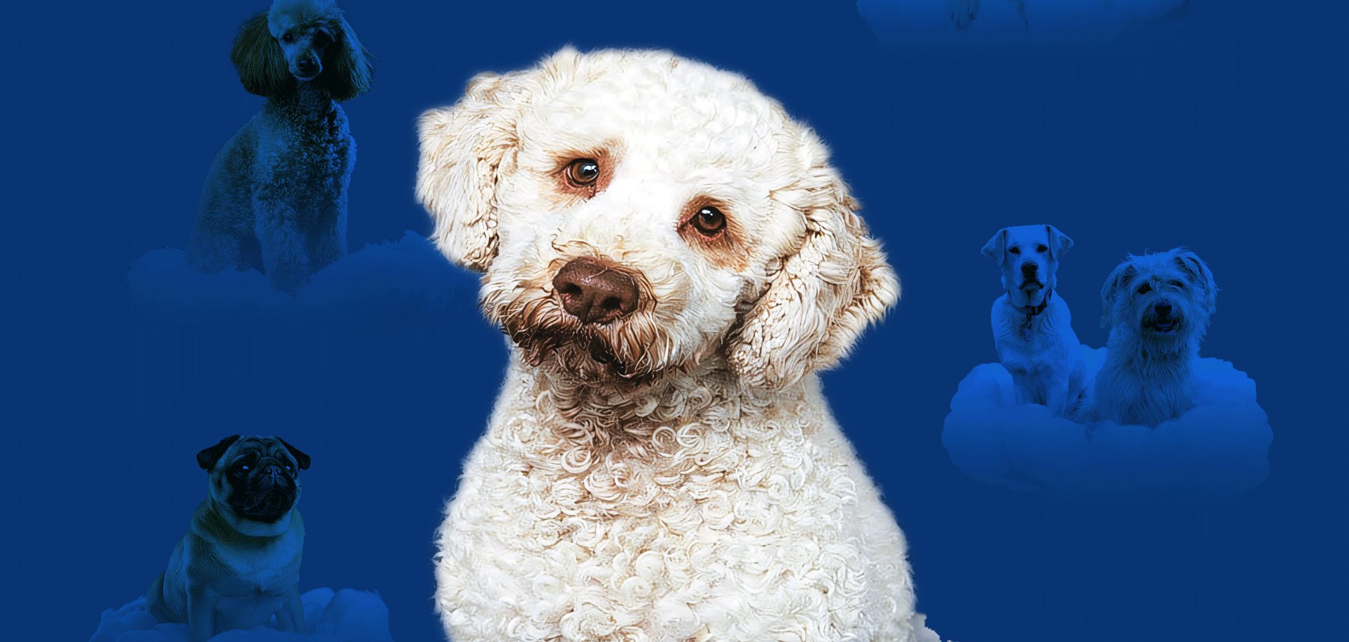 Din A2_V01.indd Din A2_V01.indd