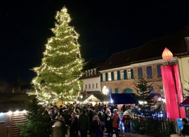 der Baum 2024