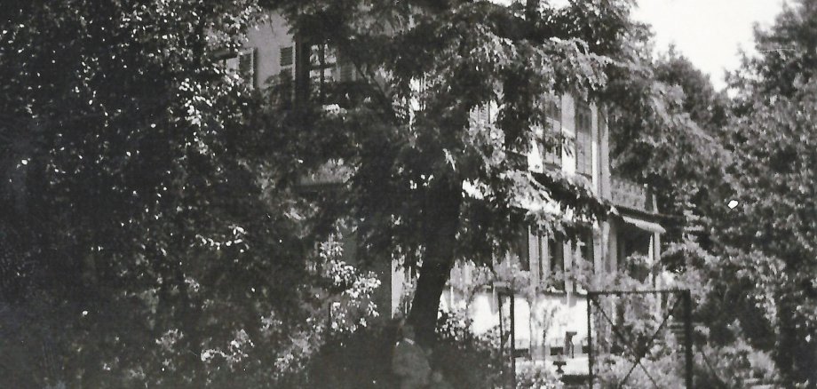 der Park früher