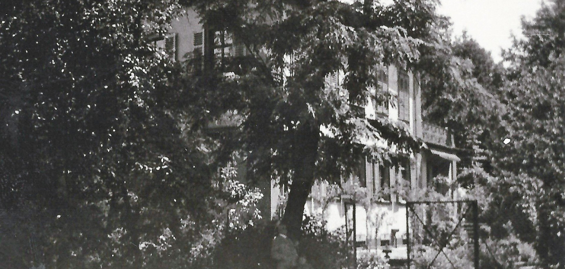der Park früher